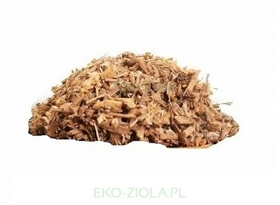 JEMIOŁA (Viscum album L.)