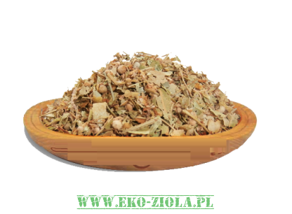 NAWŁOĆ POSPOLITA  (Solidago virgaurea L.)