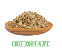 TATARAK kłącze –(Rhizoma calami)