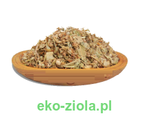 TYSIĄCZNIK - CENTURIA ( Erythraea centaurium (L.)