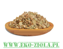 ŻYWOKOST  (Symphytum officinale L.)