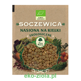 Nasiona na kiełki