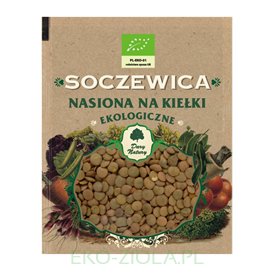 Nasiona na kiełki