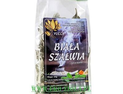 SZAŁWIA BIAŁA (Salvia apiana)