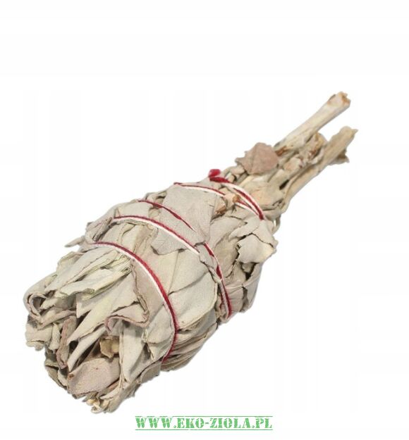 Szałwia Biała pęczek kadzidełko 15-20g