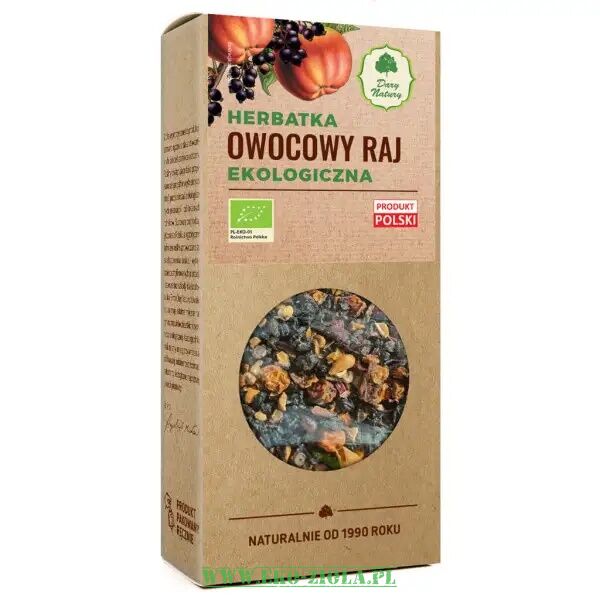 Dary Natury herbatka Owocowy raj EKO 100g