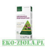 Medica Herbs Wierzbownica drobnokwiatowa 520mg 60kaps - 2