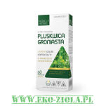 Medica Herbs Pluskwica groniasta 350mg 60kaps - 2