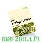 Flos Podagrycznik liść 50g - suplement diety - 2