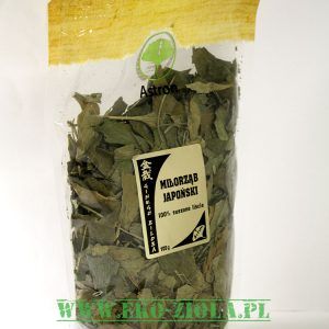Astron Miłorząb liście 100g